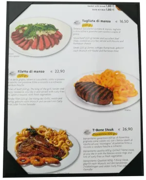 10 Pcs of Restaurant Menu Covers Holders 8.5 X 11 Inches,No Stitching,Single View,Sold by Case,with Clear PVC Sheets for Paper Protection