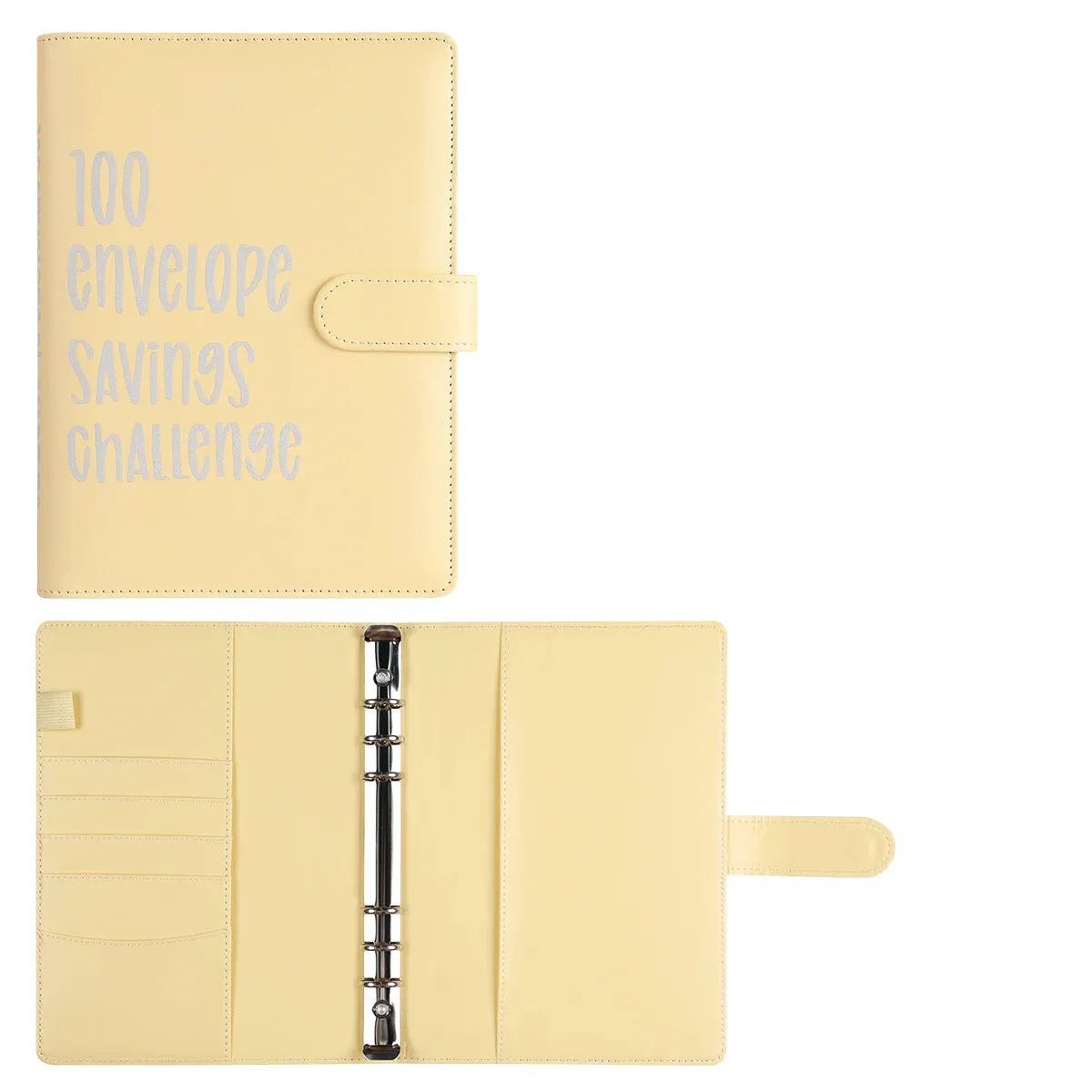 100 Envelope saving Challenge