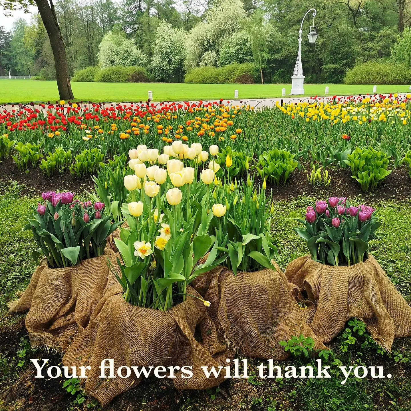 40" x15 Feet Gardening Burlap Roll - Multipurpose Natural Burlap Fabric, High Density Jute Fiber Material for Decorations, Center Pieces for Home, Rustic Party Décor