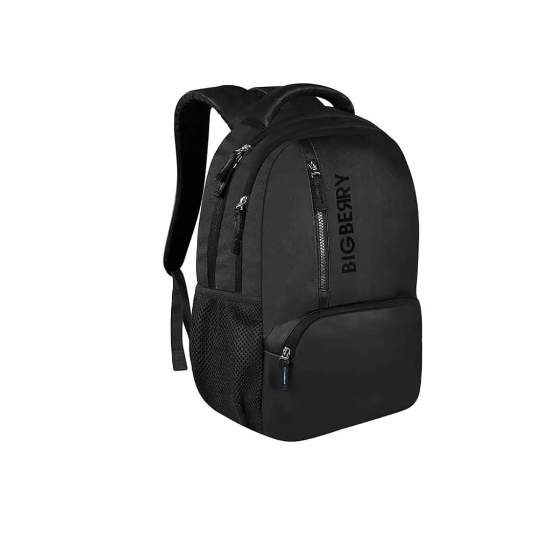 BIGBERRY Newage Rodeo 28 Ltrs leatherite  faux leather Backpack