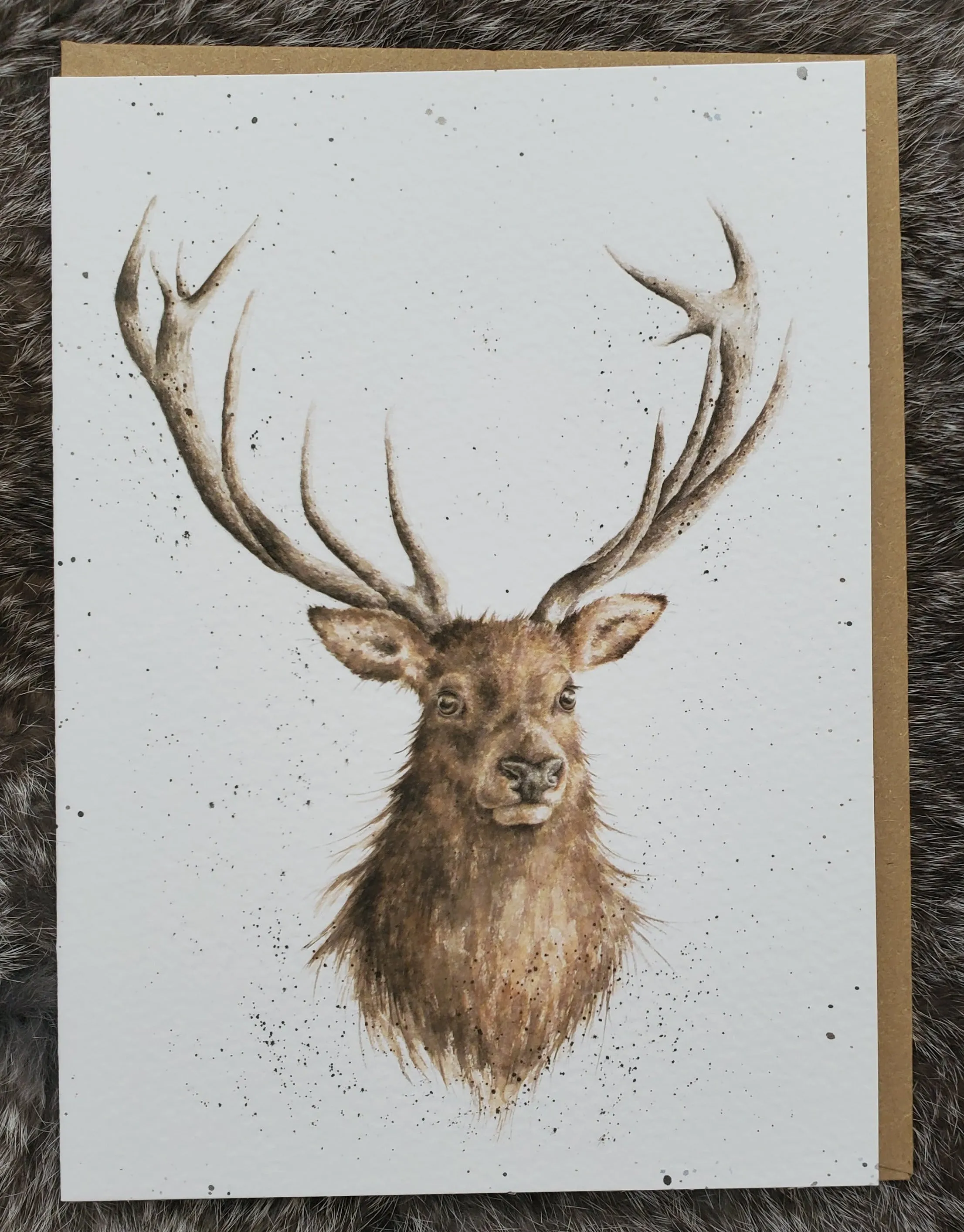Blank Woodland Theme Greeting Cards- NEW