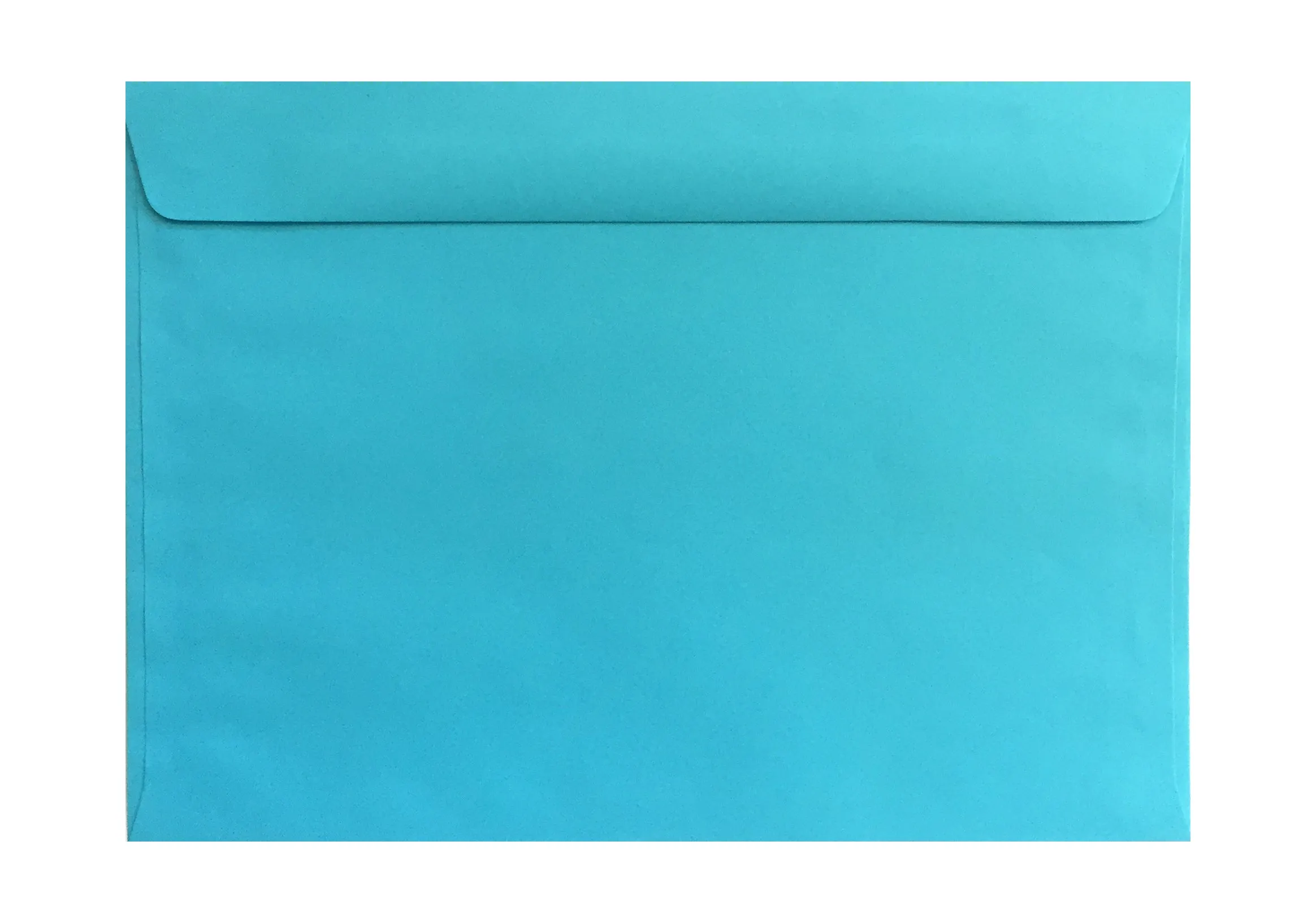 C4 envelopes