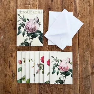 Cardfolder - Historic Roses - Set 8