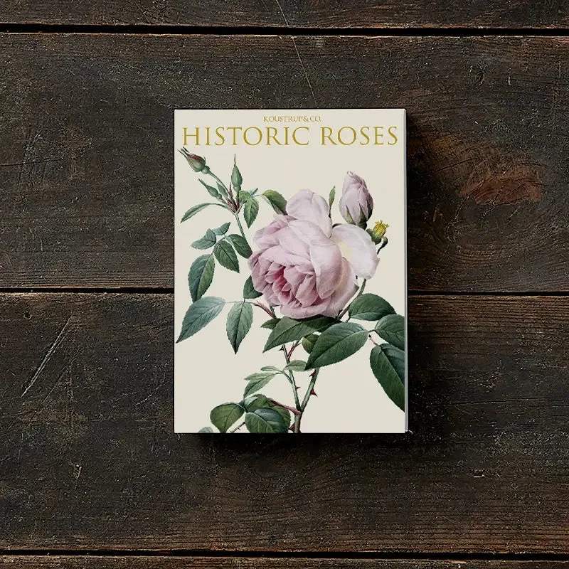Cardfolder - Historic Roses - Set 8
