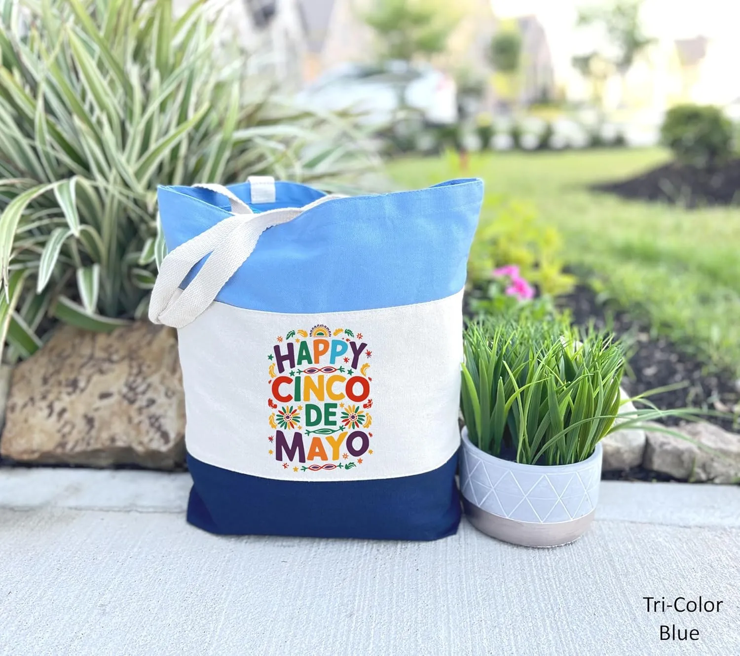 Cinco de Mayo Tote Bag, Fiesta Party Shirt, May 5th Shoulder Bag, Gift for Fiesta Lover, Mexican Party (Tri-Color Tote Bag, Design 08)