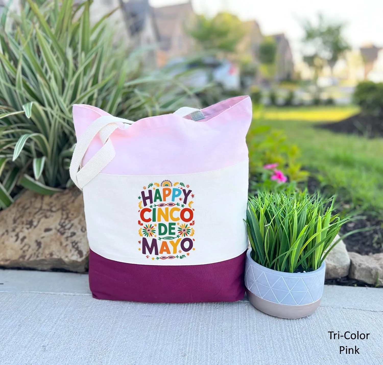 Cinco de Mayo Tote Bag, Fiesta Party Shirt, May 5th Shoulder Bag, Gift for Fiesta Lover, Mexican Party (Tri-Color Tote Bag, Design 08)