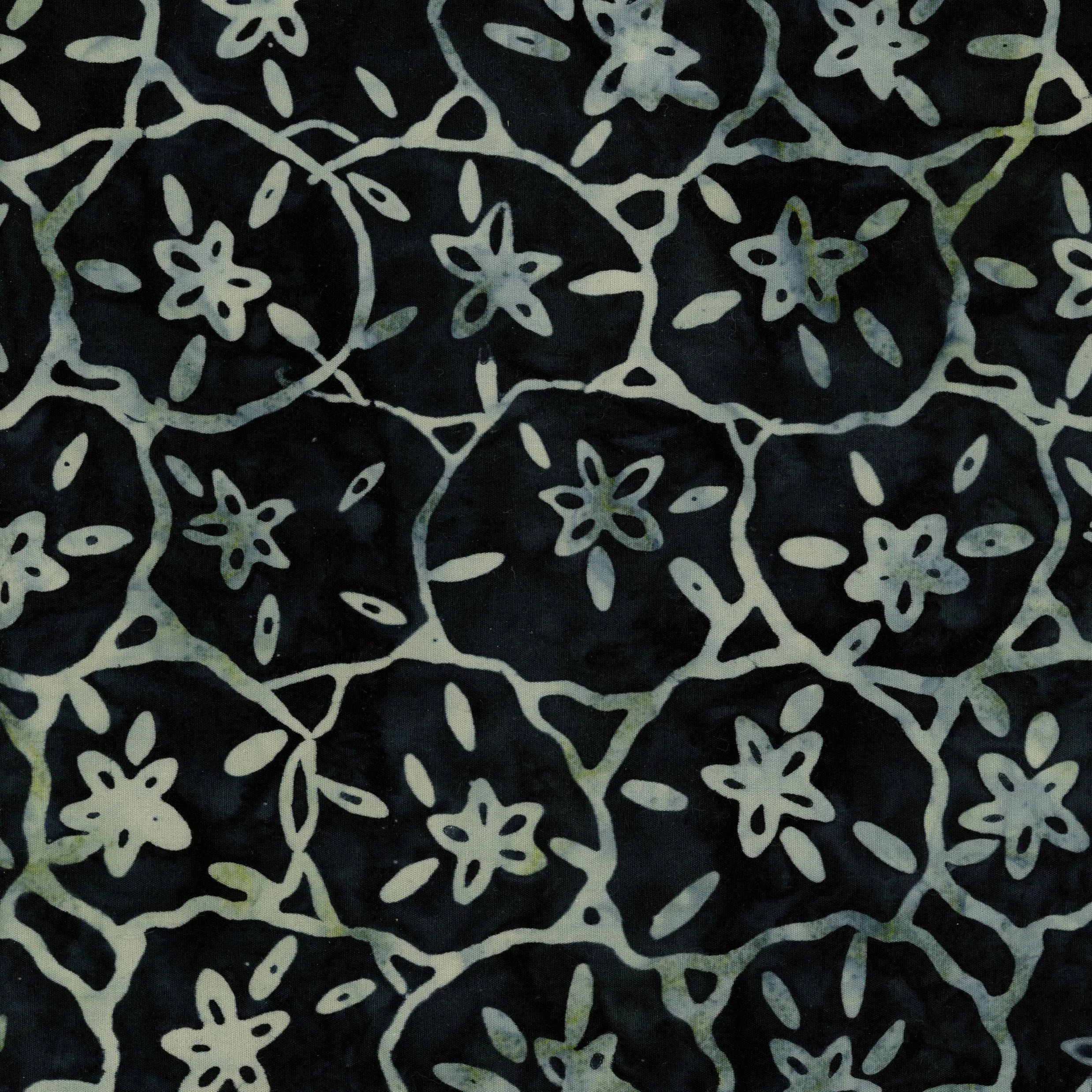 Coastal Getaway - Black Sand Dollars