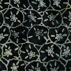 Coastal Getaway - Black Sand Dollars