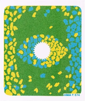 Cokin Square Center Spot Blue/Yellow (P672) - 1 3-Stop for M (P) Series Holder - 84mm X 84mm