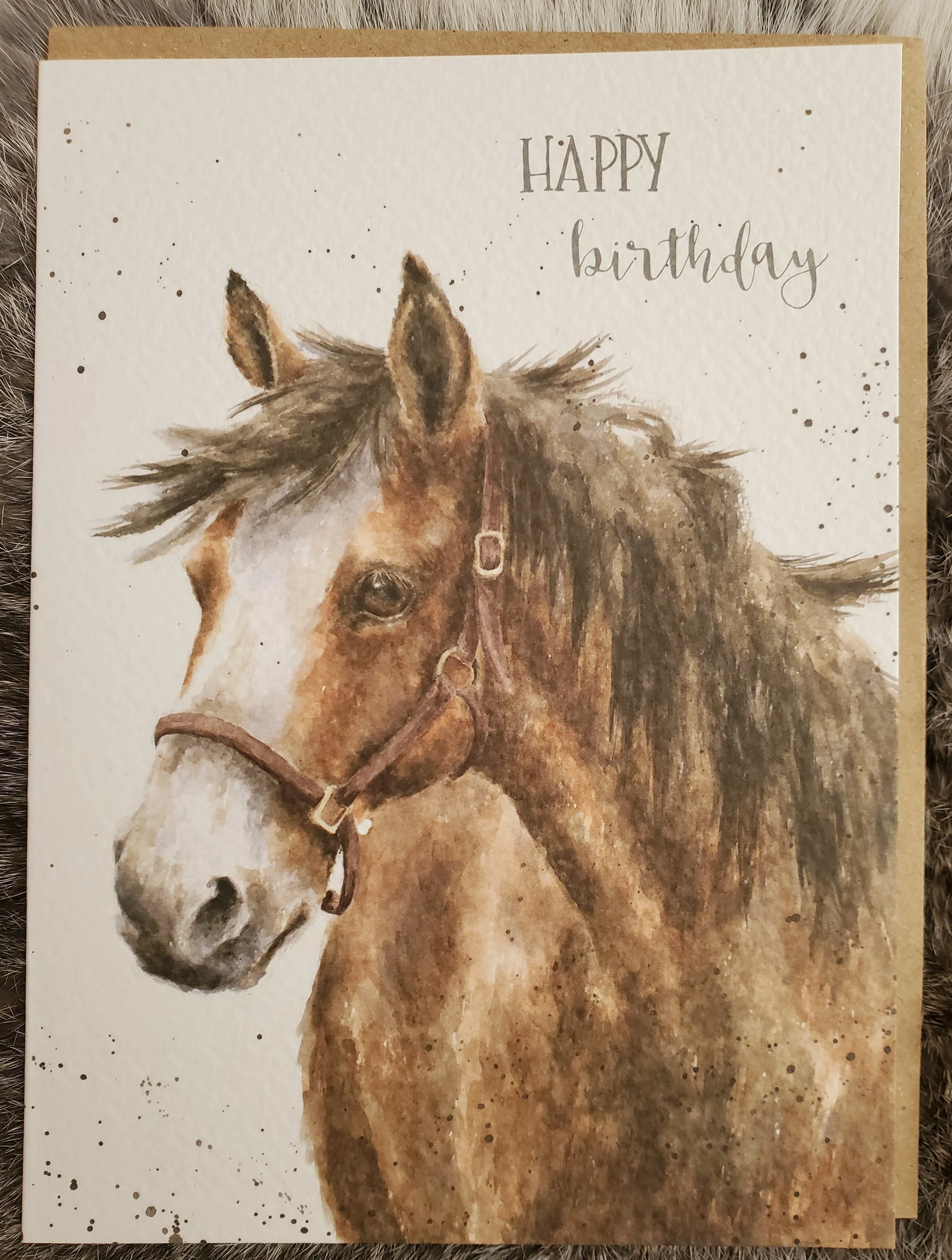 Country Birthday Variety Greeting Cards