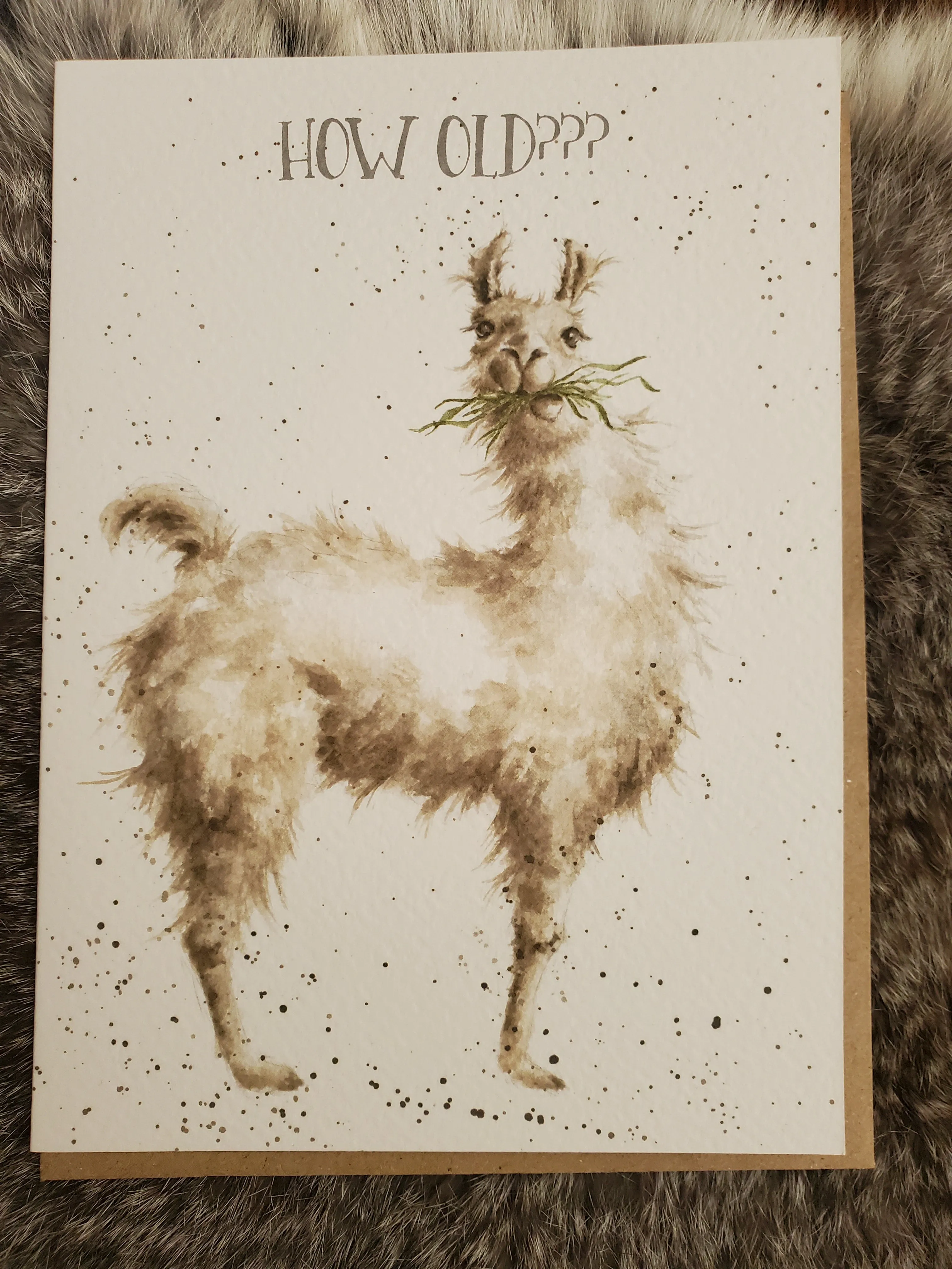 Country Birthday Variety Greeting Cards