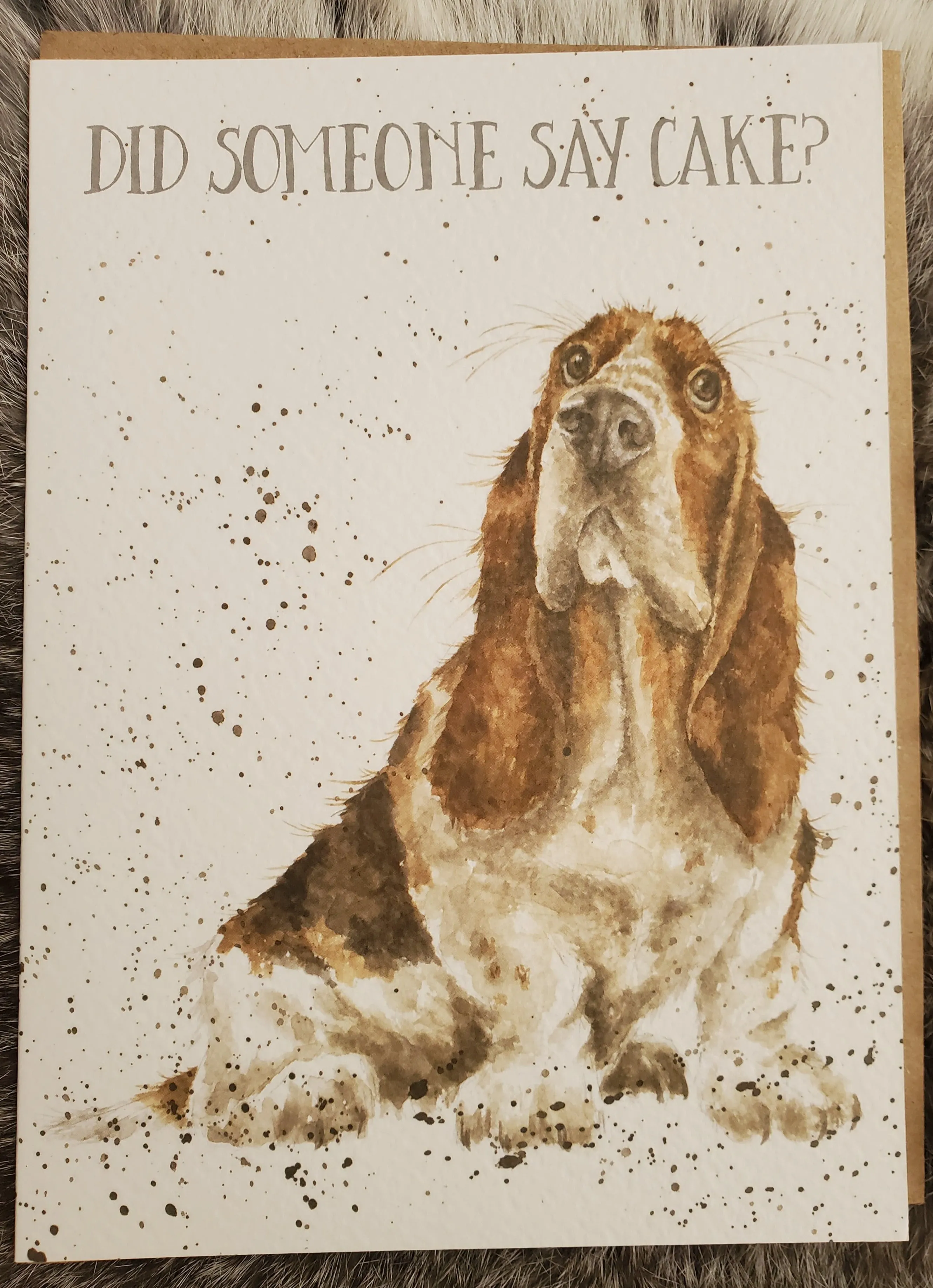 Country Birthday Variety Greeting Cards