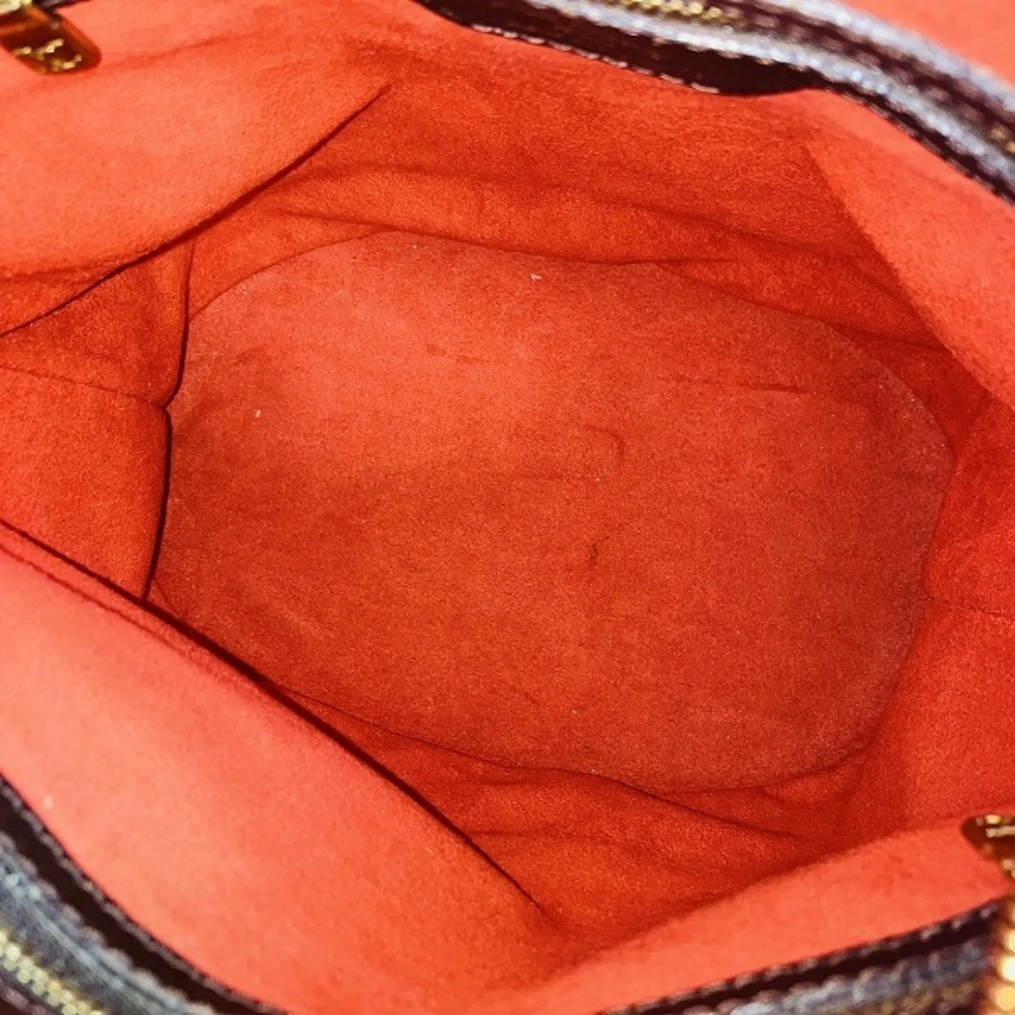 Dauphine Bucket Bag Monogram Canvas