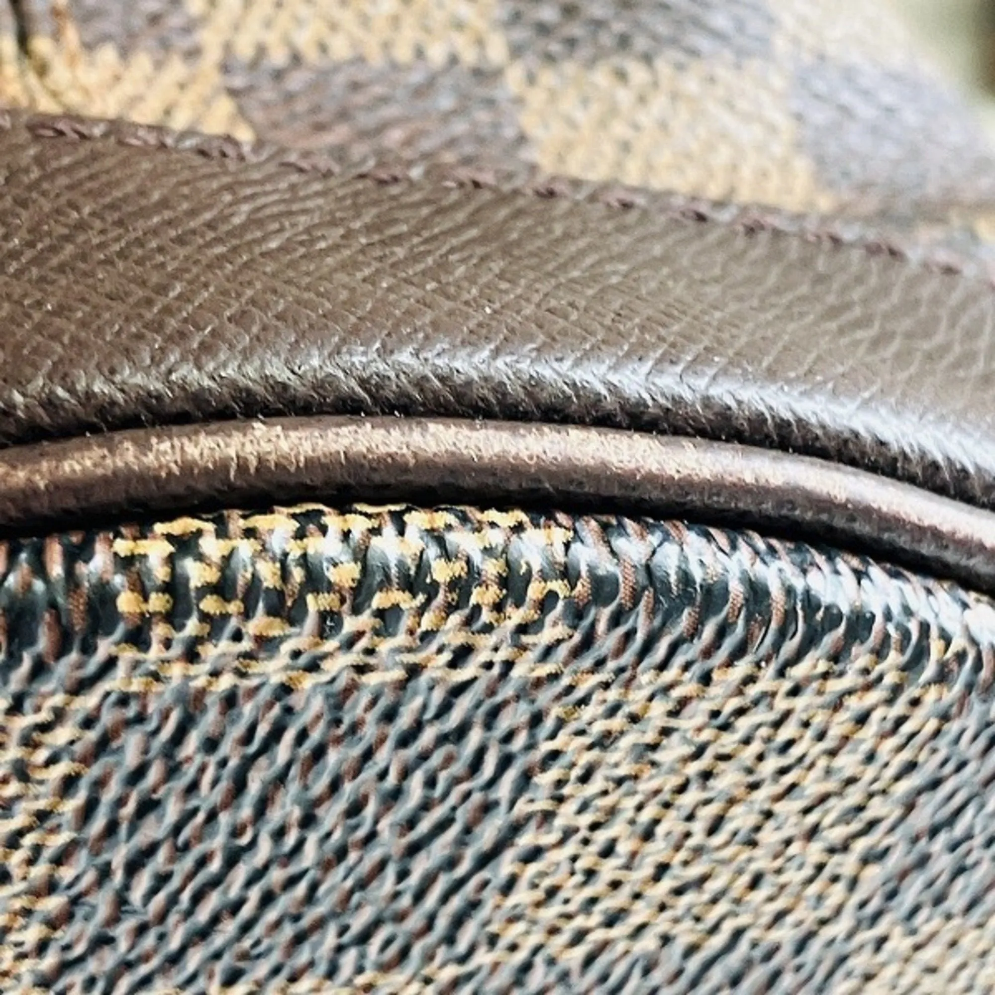 Dauphine Bucket Bag Monogram Canvas