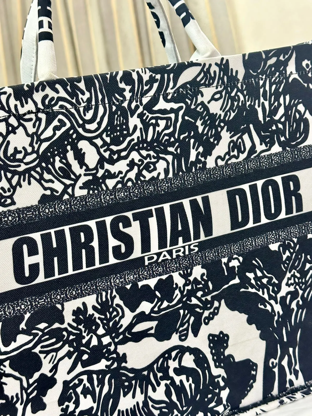 DIOR BAG