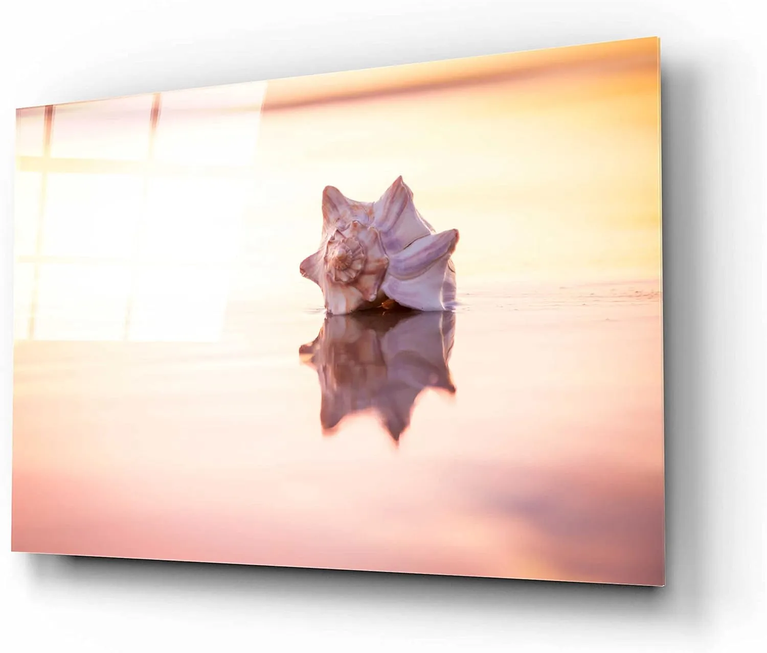 Epic Art 'King of the Beach' by Chris Moyer, Acrylic Glass Wall Art, 16"x12"