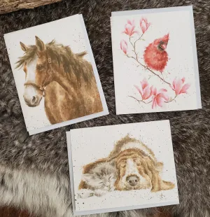 Gift Enclosure Cards