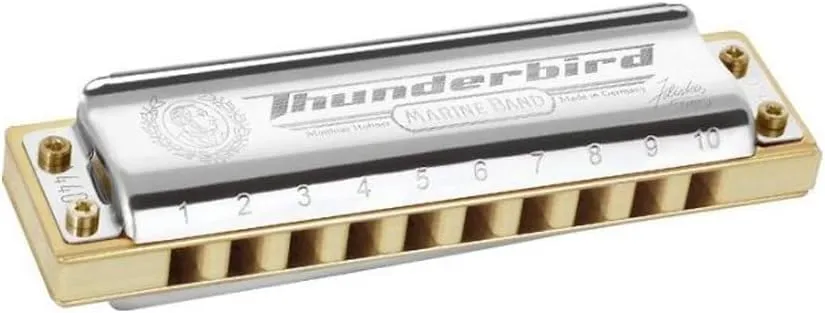 HOHNER Thunderbird Low Tuned Harmonica, Key of C (M2011BXLC)
