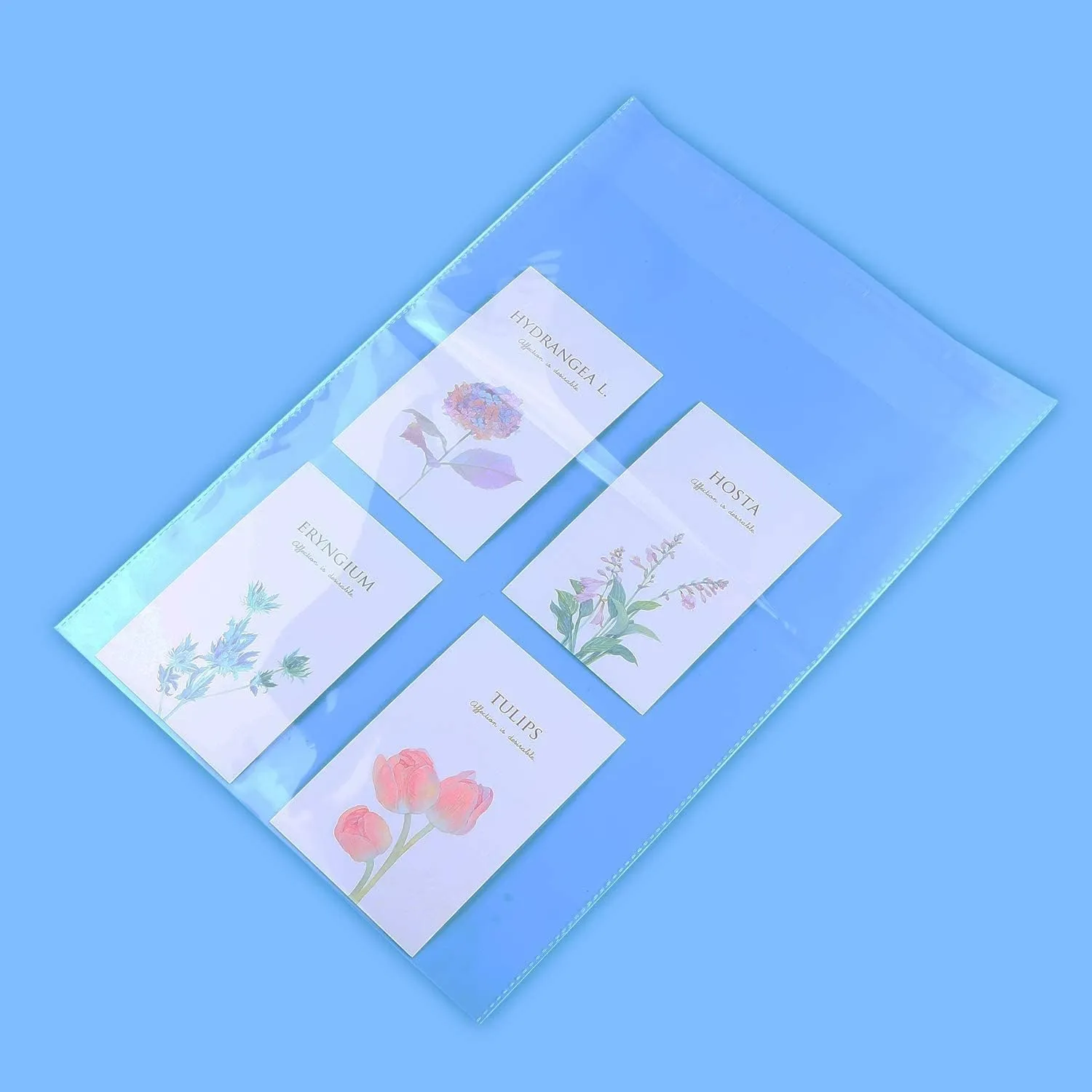 iMailer - 100 Count - 13" x 15" Clear Cellophane Bags Large -Self Seal Cello Resealable Plastic Poly Bags for Clothing, T-Shirts, Pants