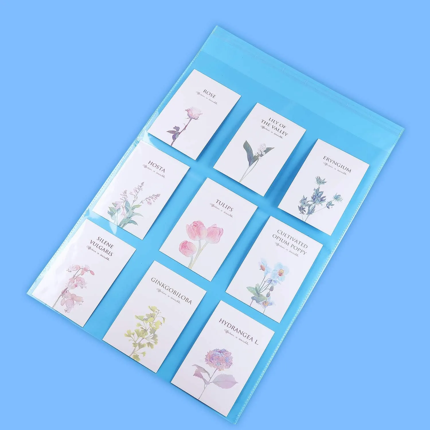 iMailer - 1000 Pack - 13" x 15" Clear Cellophane Bags Large -Self Seal Cello Resealable Plastic Poly Bags for Clothing, T-Shirts, Pants