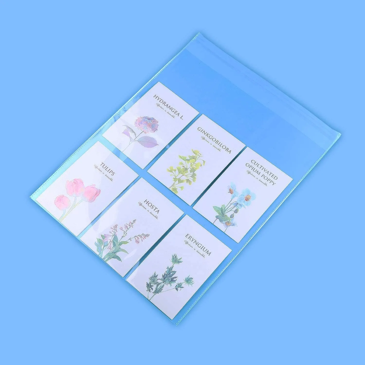 iMailer - 200 Count - 12" x 15" Self Seal Clear Cellophane Bags- Resealable Plastic Poly Cello Bags for Clothing, T-Shirts, Pants