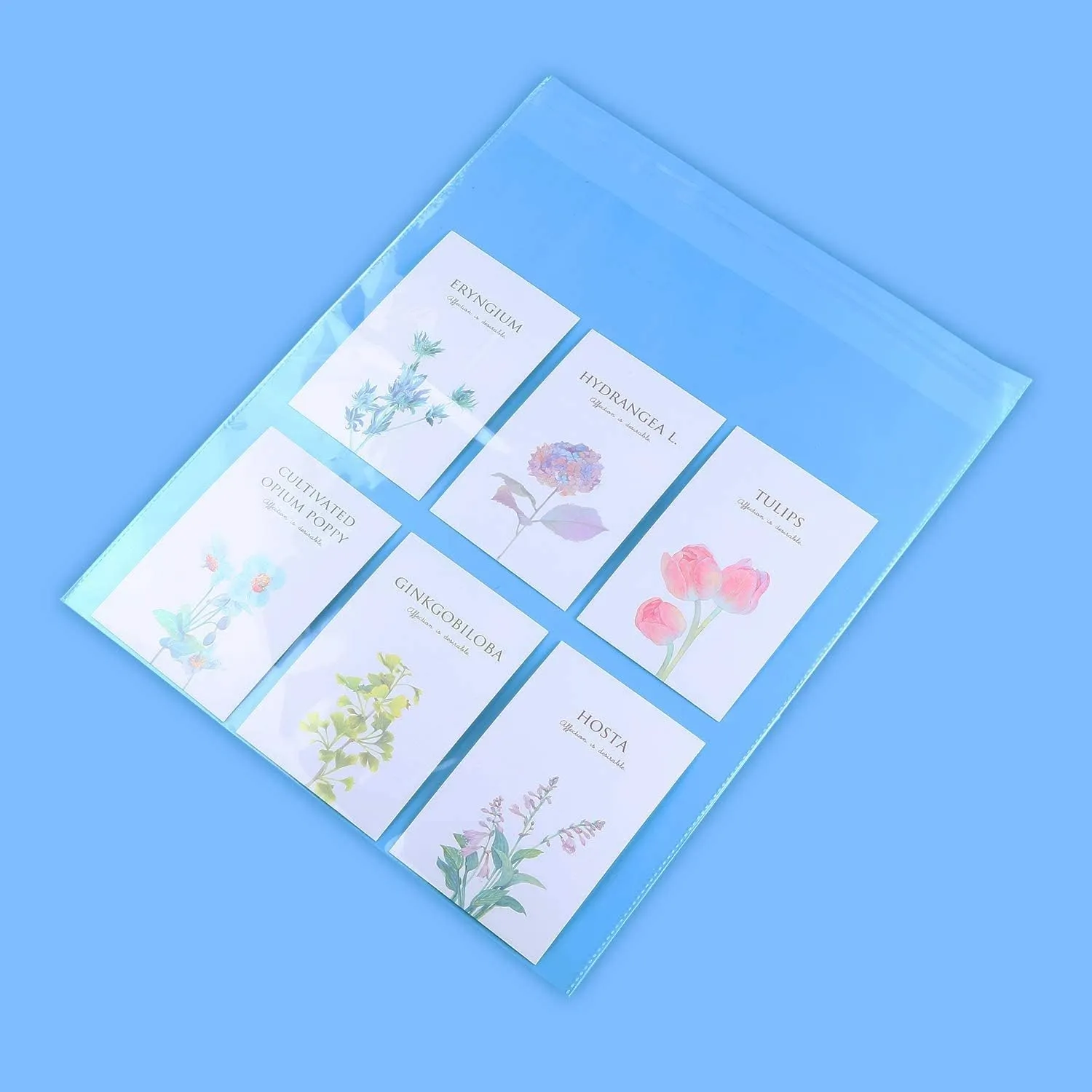 iMailer - 500 Pack - 10" x 13" Clear Cellophane Bags Self Seal- Cello Large Resealable Plastic Poly Bags for Prints, Photos, Documents, Clothing, T-Shirt