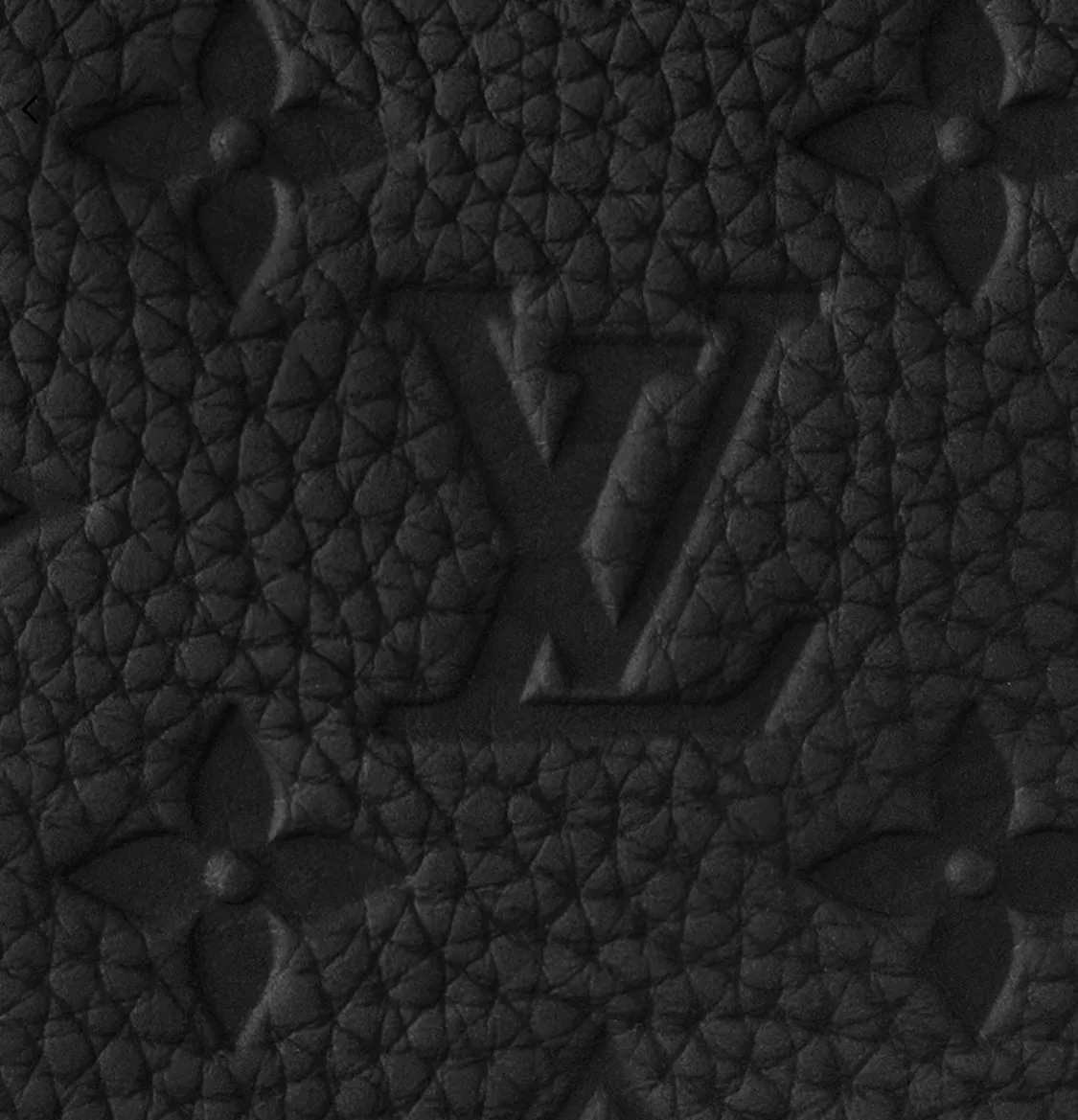 Louis Vuitton - Montsouris Backpack