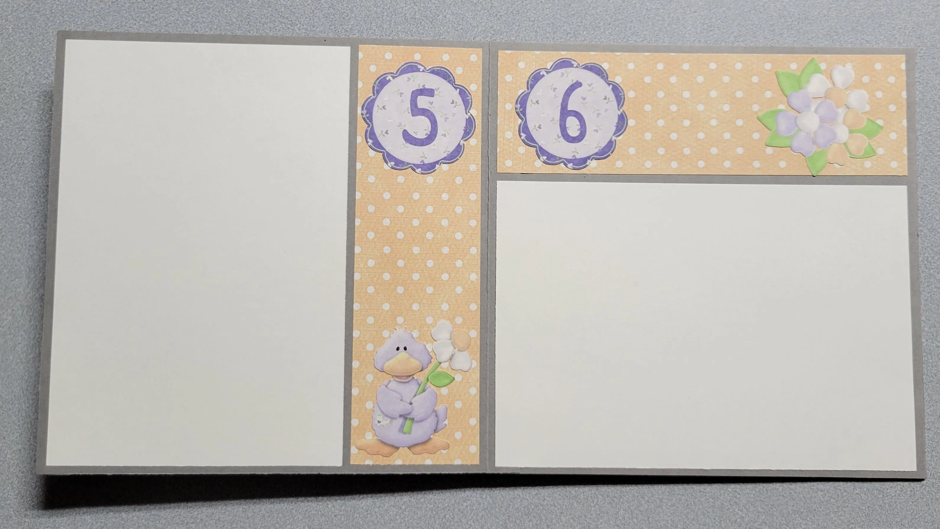 Lucky Ducky Accordion Album