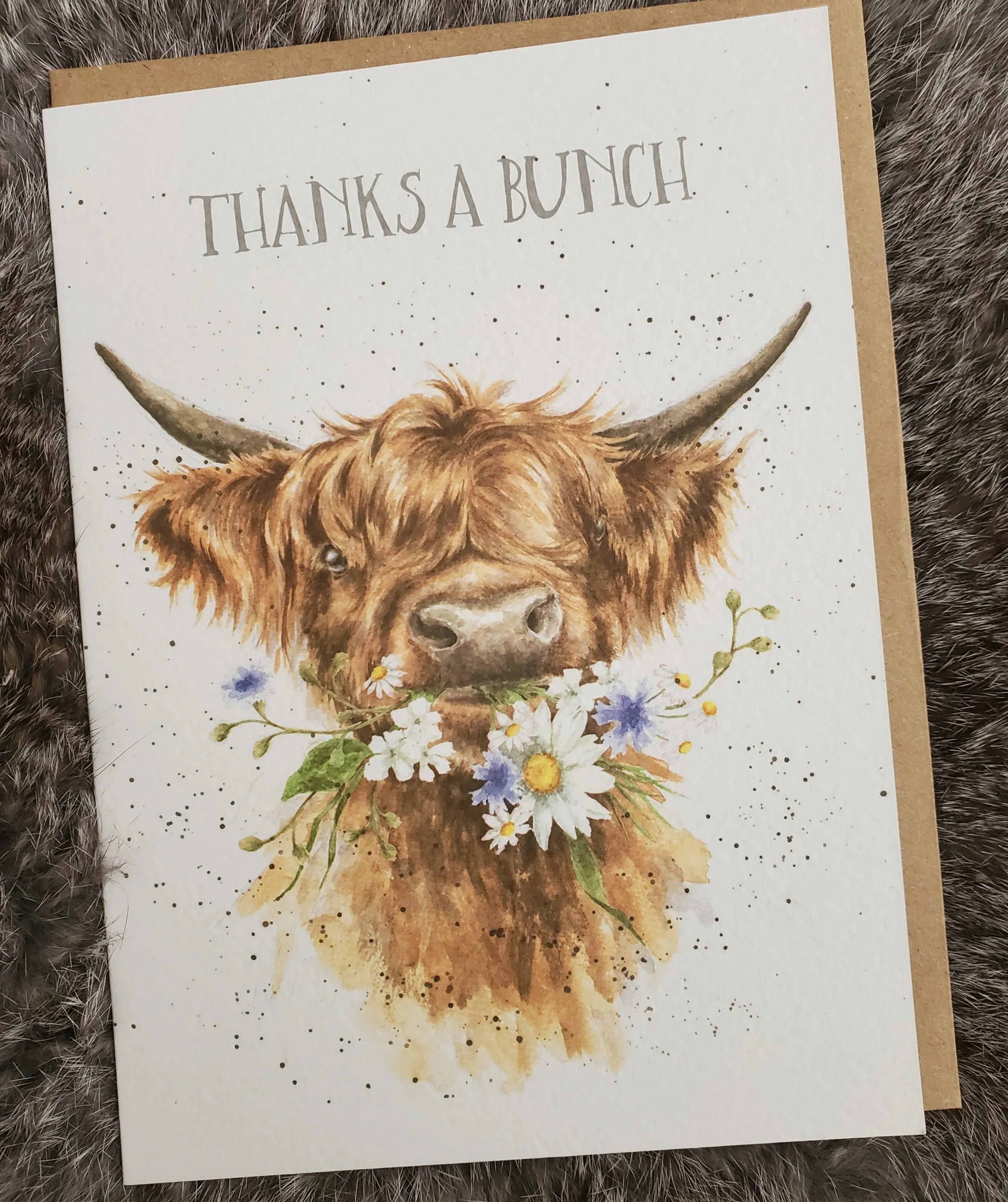 Mixed Occasion Greeting Cards