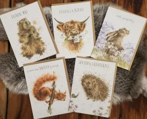 Mixed Occasion Greeting Cards