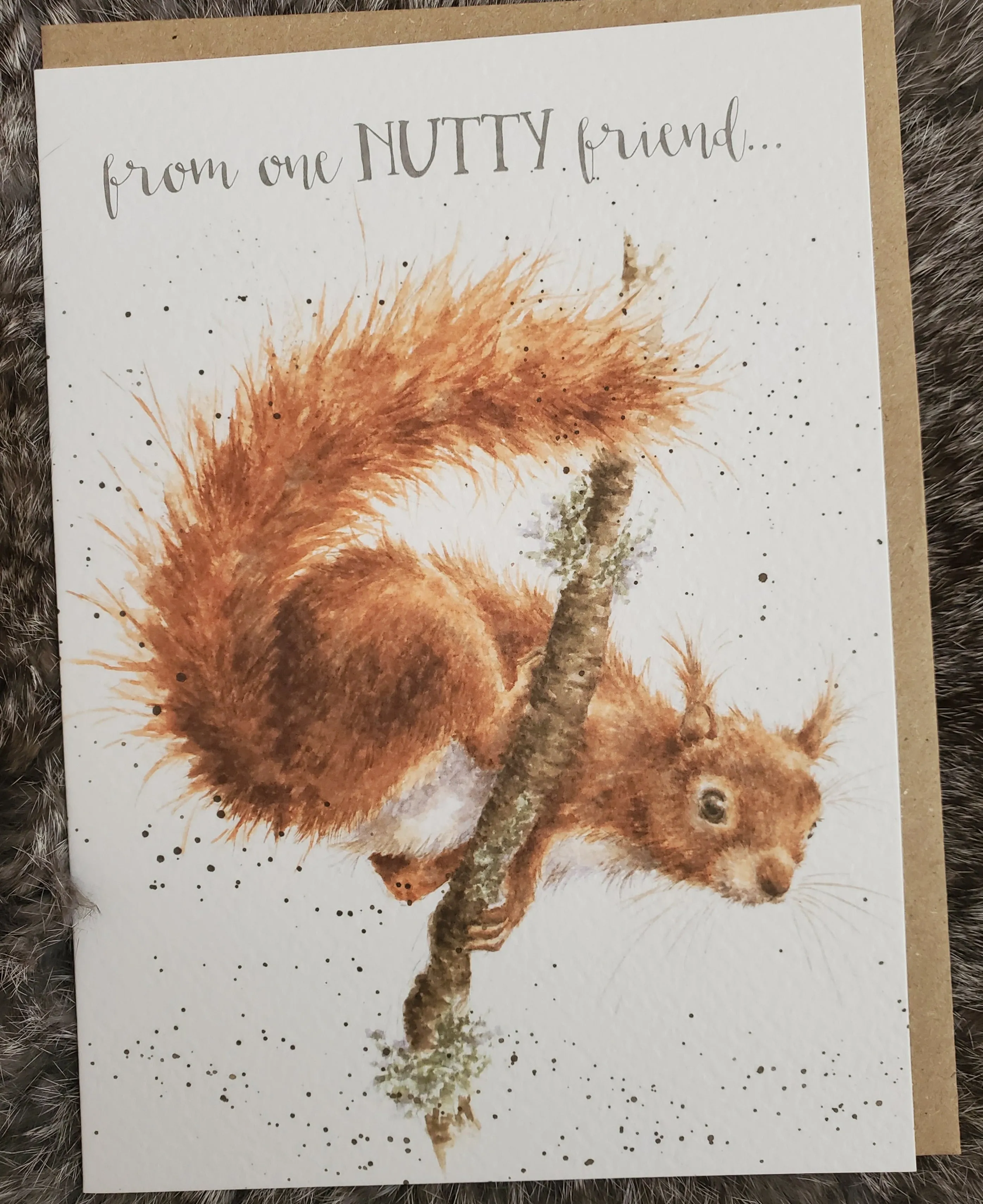 Mixed Occasion Greeting Cards