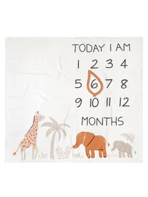 Modern Moments by Gerber Muslin Milestone Blanket with Felt Month Marker Frame