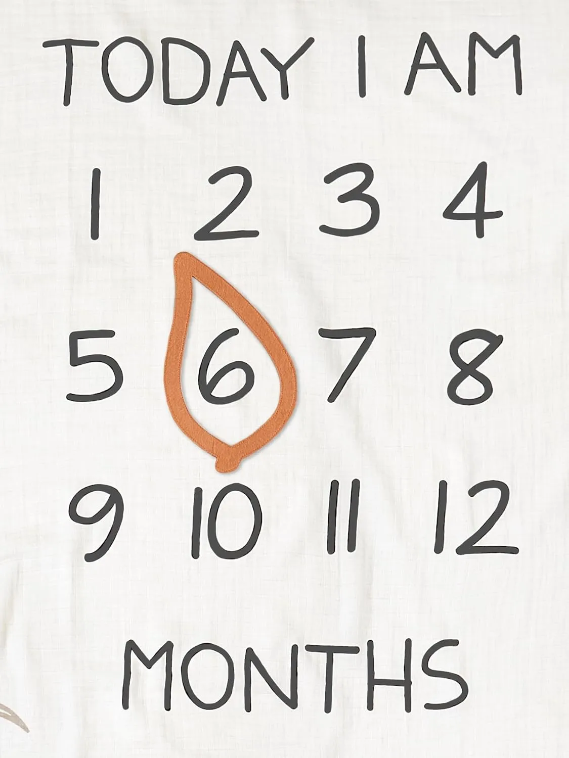 Modern Moments by Gerber Muslin Milestone Blanket with Felt Month Marker Frame