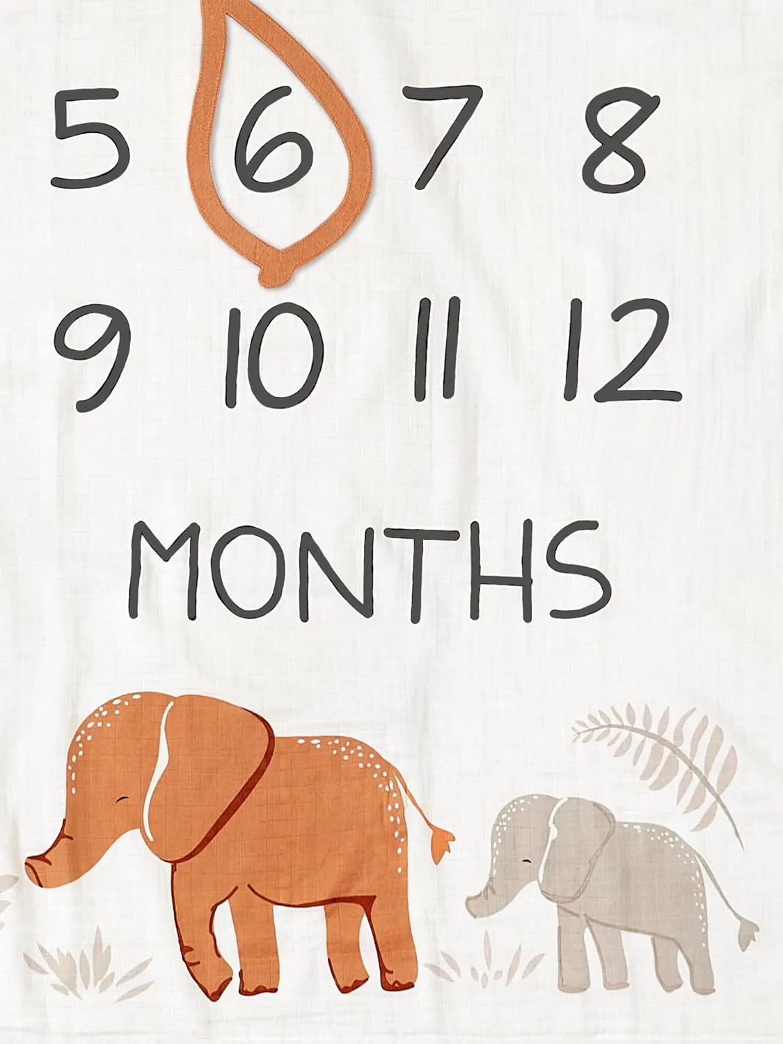 Modern Moments by Gerber Muslin Milestone Blanket with Felt Month Marker Frame