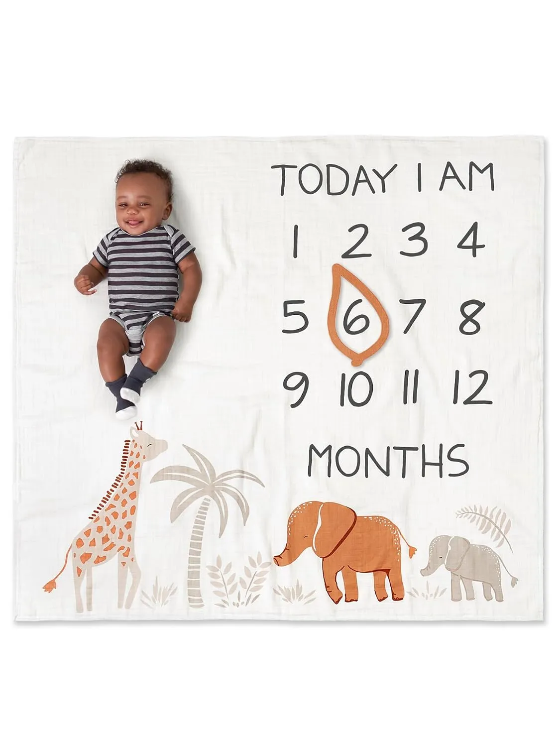 Modern Moments by Gerber Muslin Milestone Blanket with Felt Month Marker Frame