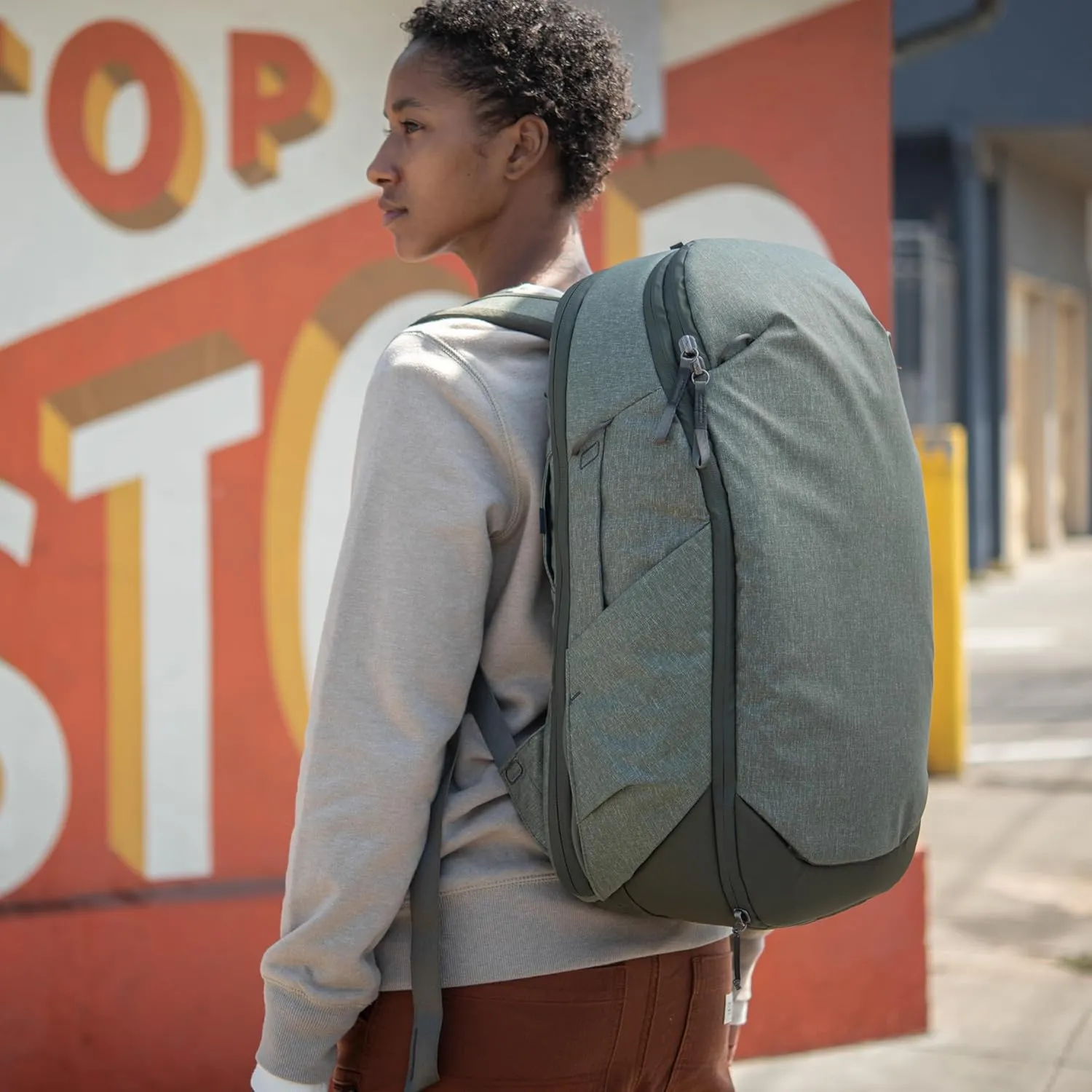 Peak Design Travel Line Backpack 30L (Sage)