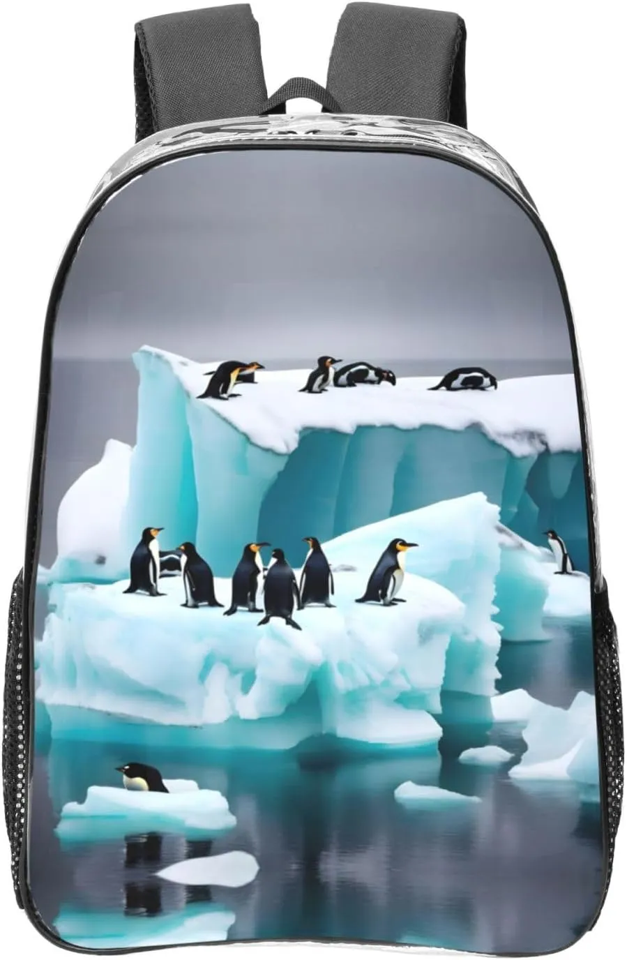 Penguins On The Iceberg print Clear Backpacks for Office Transparent See Through Backpack Clear Bookbag for Adults