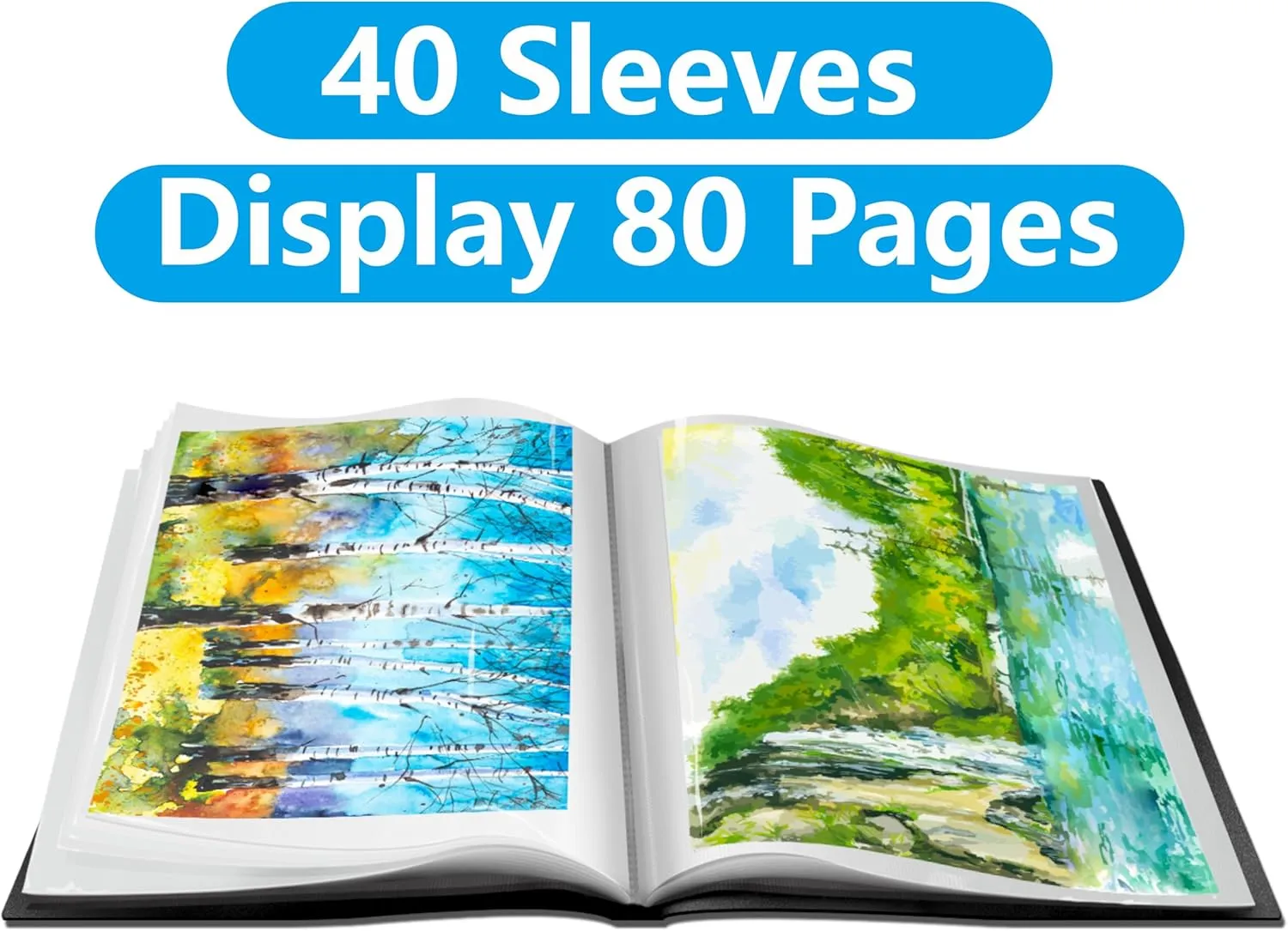 Presentation Book 40 Clear Pockets Sleeves Protectors Art Portfolio Clear Book for Artwork, Report Sheet, Letter (Can Accommodate 19.1 X 13.3inch)