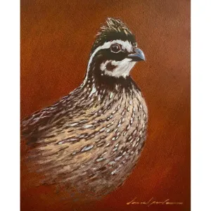 Quail Series 4 Pack of Note Cards by "Daniel Porter"
