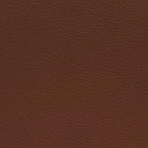 Sample Italian Leather Automotive grade SeatSkins ZN4263NP