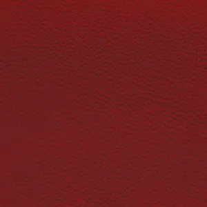 Sample Italian Leather Automotive grade SeatSkins ZN4411NP