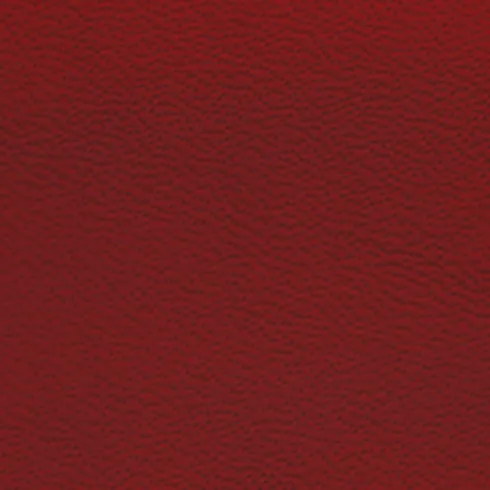 Sample Italian Leather Automotive grade SeatSkins ZN4411NP