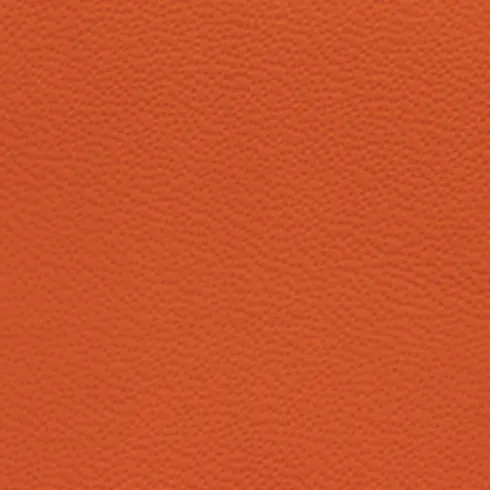 Sample Italian Leather Automotive grade SeatSkins ZN4443NP