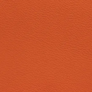 Sample Italian Leather Automotive grade SeatSkins ZN4443NP