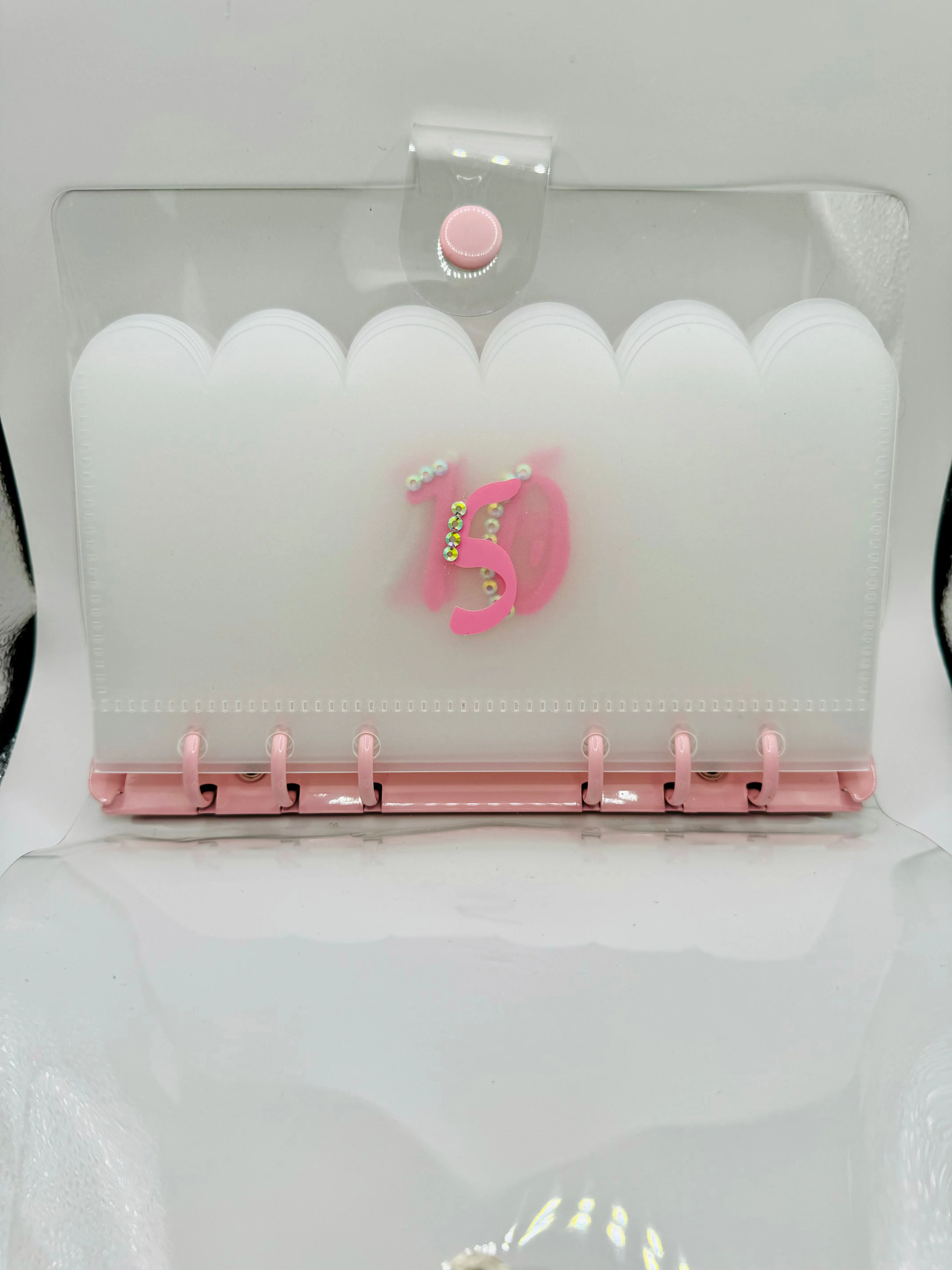 SAVINGS CHALLENGE BINDER