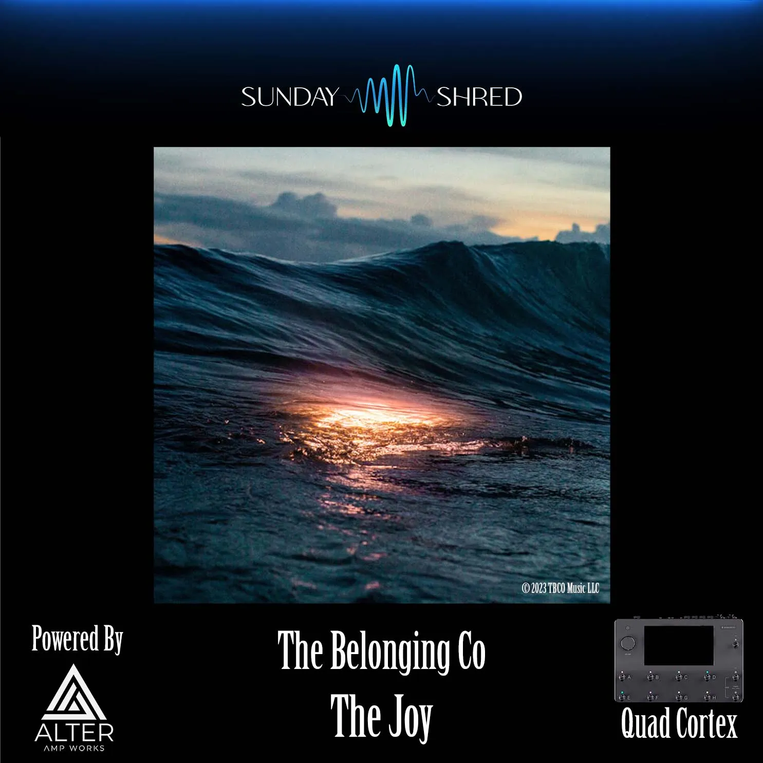 The Joy - Quad Cortex