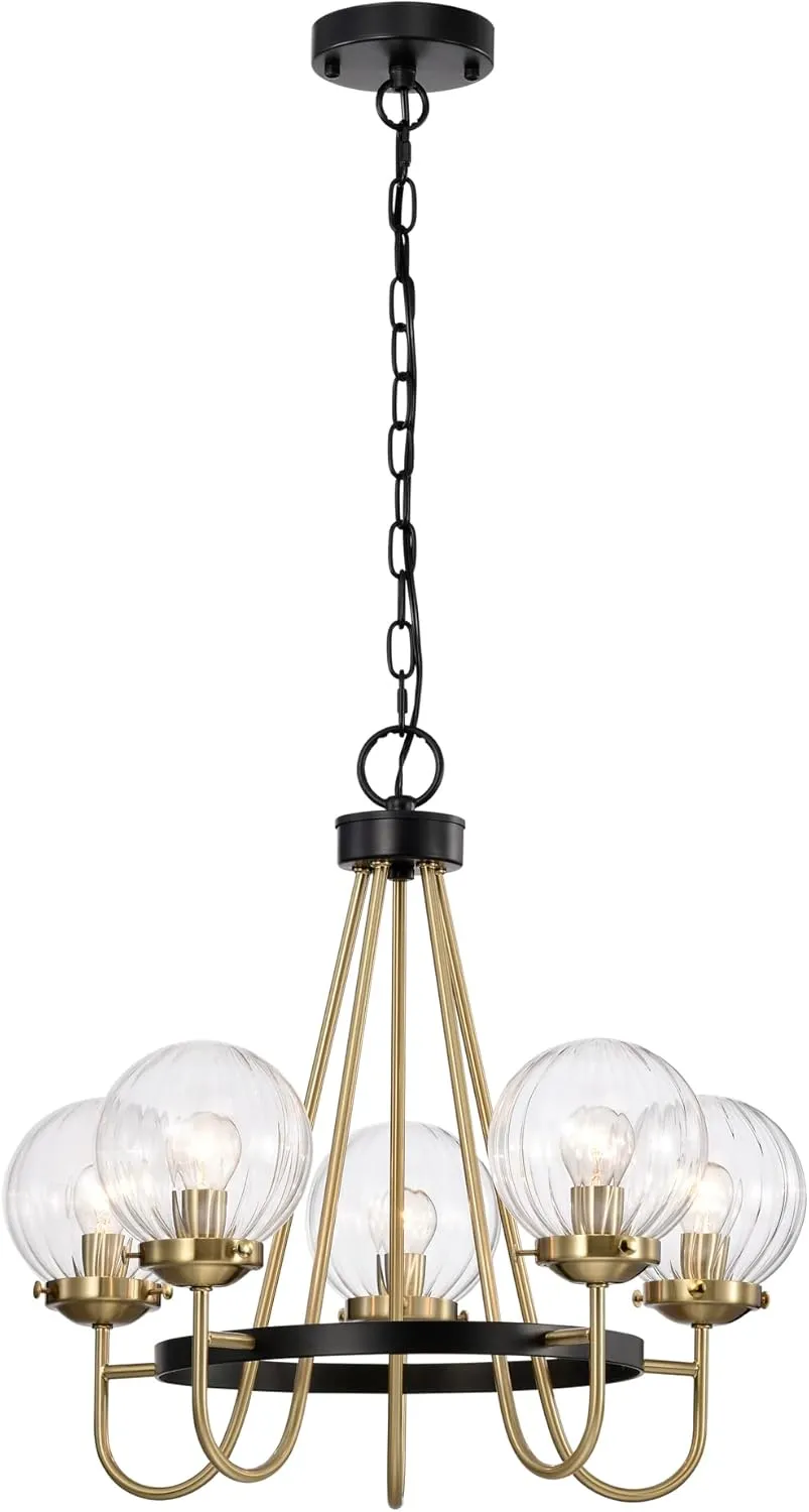 Warehouse of Tiffany INES 21 Inch Clear Globe Glass Chandelier 5 Light, Black