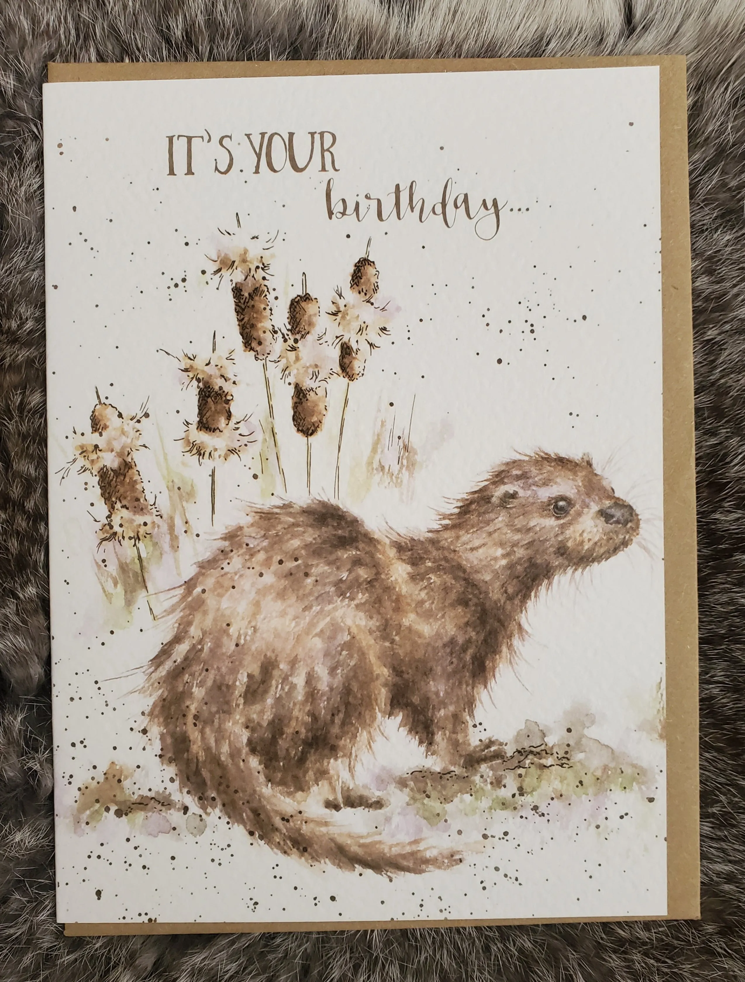 Woodland Birthday Variety Greeting Cards