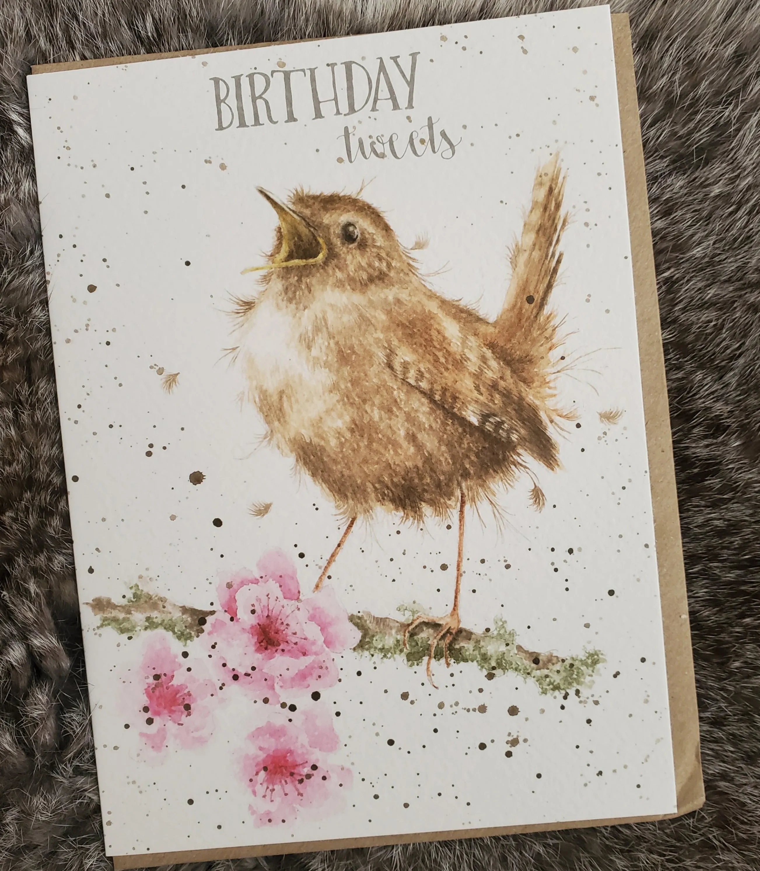 Woodland Birthday Variety Greeting Cards