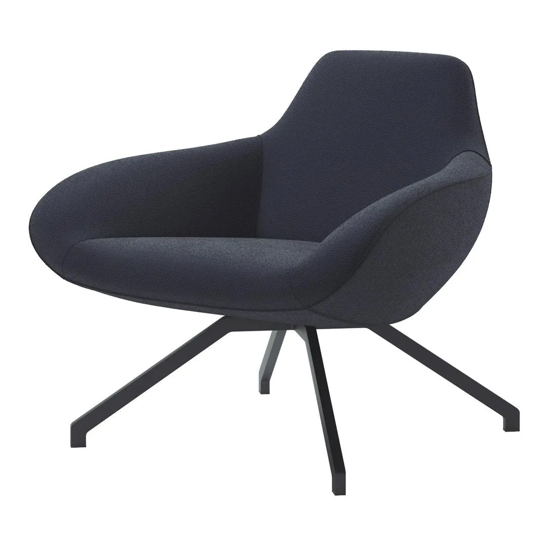 X Big Lounge Armchair - Fixed Steel Base